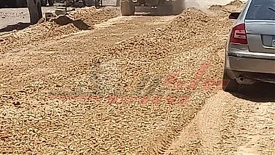  رفع كفاءة الإنارة ورصف الطرق بمدينة قلين بكفر الشيخ