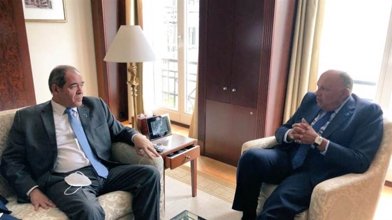 سامح شكري وزير الخارجية