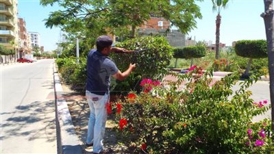 استكمال أعمال النظافة ورفع المخلفات بمصيف بلطيم