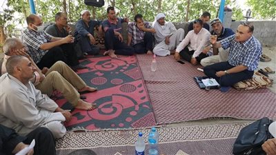 ندوات إرشادية للنهوض بمحصول القطن بالبحيرة