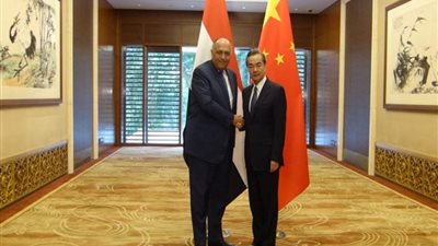 شكري ونظيره الصيني يبحثان العلاقات الثنائية وملف سد النهضة 