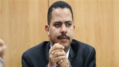 «زعيم الأغلبية» يطالب الصحة بإنشاء مستشفى لعلاج الإدمان بقنا