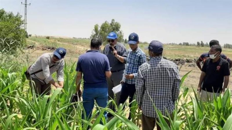 باحثي بحوث الصحراء