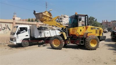 حملات نظافة مكبرة بمدينة بيلا في كفر الشيخ