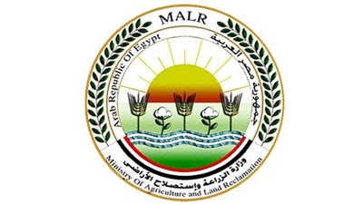 اعرف منهج وخطة وزارة الزراعة للوصول إلى تحقيق الأمن الغذائي