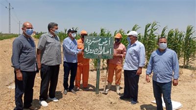 استرداد ٨٦ فدانا أملاك دولة في حملة بالبحيرة