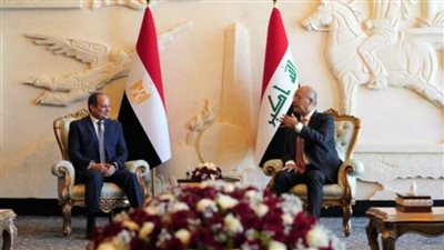 حماة الوطن: زيارة الرئيس للعراق تعيد الحضور العربي في عاصمة الرشيد 