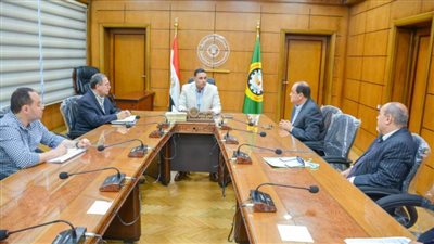 محافظ الدقهلية يتابع أعمال مشروع 