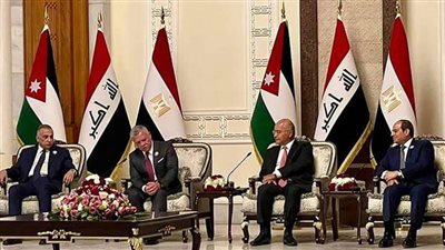 متحدث الرئاسة: قمة اليوم دعت إلى بذل الجهود اللازمة لصون الأمن القومي العربي