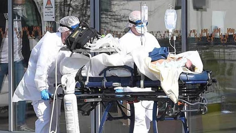 بوابة روز اليوسف