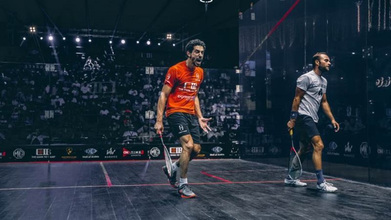 نهائي مصر للرجال