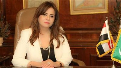 أمل رمزي: 30 يونيو ثورة ضد الإرهاب وأنقذت المنطقة من حكم الإخوان