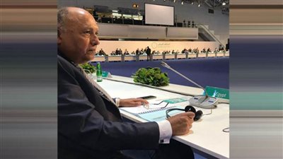 شكري: ضرورة إنهاء التدخلات الخارجية في الأراضي والشؤون السورية كشرط لإحلال السلام