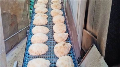 تحرير 24 محضرا ضد مخابز بلدية فى حملة تموينية بالبحيرة