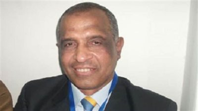 عبد العزيز غنيم: 30 يونيو مولد جديد لمصر