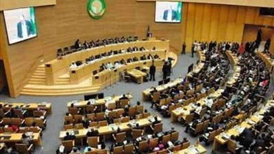 الاتحاد الإفريقي يأمل في استجابة قارية موحدة لمواجهة الجرائم الإلكترونية