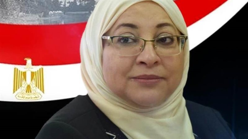 المهندسة جيهان عبد