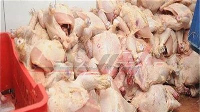 ضبط لحوم وكبدة مجهولة المصدر في حملة تموينية بكفر الشيخ