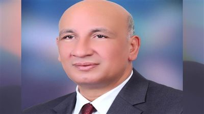 الشعب الجمهوري بالشرقية: ثورة 30 يونيو انتصار شعب على جماعة إرهابية اختطفت ثورته