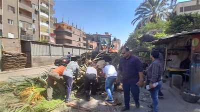 انقطاع التيار الكهربائى إثر سقوط 