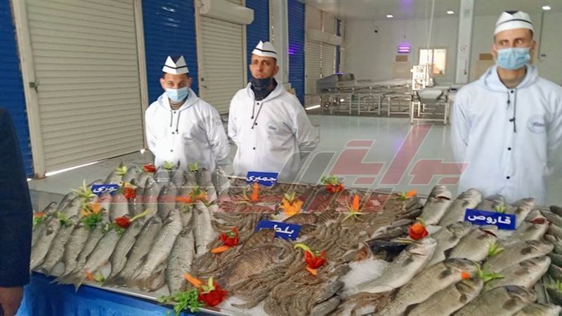 منتجات مزرعة غليون