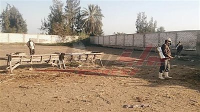 نور الدين يوجه بتطهير وتعقيم أسواق الماشية بكفر الشيخ