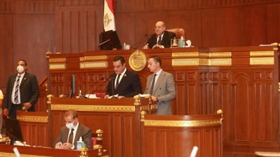 وكيل دفاع الشيوخ : 