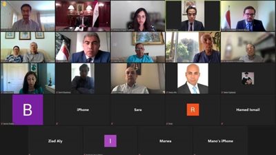 ندوة لسفارة مصر في كندا عن الدبلوماسية الثقافية والرسالة الوطنية للجاليات بالخارج