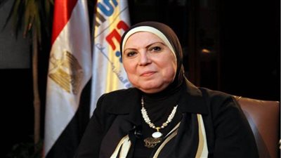 وزيرة التجارة: حريصون على تقديم خبراتنا لإقامة شراكات صناعية مع العراق والأردن