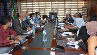 بتكلفة 250 مليونًا.. إنشاء كوبريين جديدين بالدقهلية