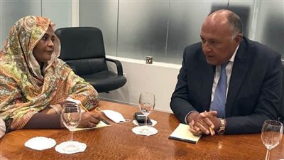 شكري يلتقي وزيرة خارجية السودان في نيويورك للتنسيق حول سد النهضة