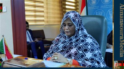 السودان يرحب بجهود دول الترويكا والتزامها بتعزيز السلام والاستقرار