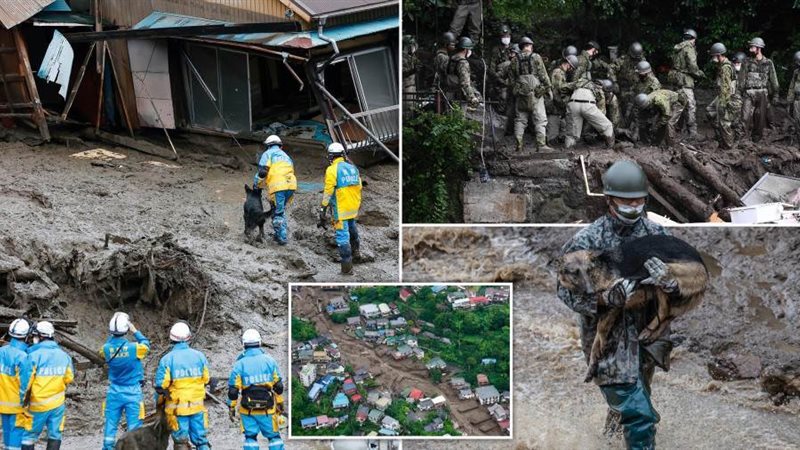 البحث عن مفقودين