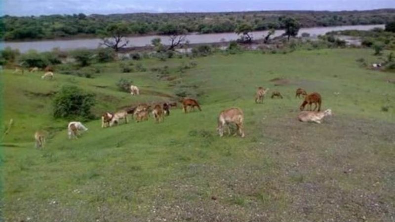 مناطق الاشتباكات