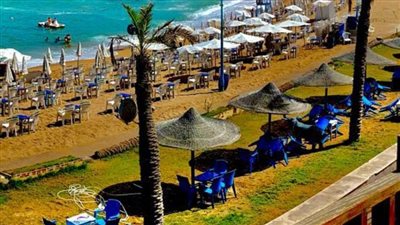 80 حملة على شواطئ الإسكندرية