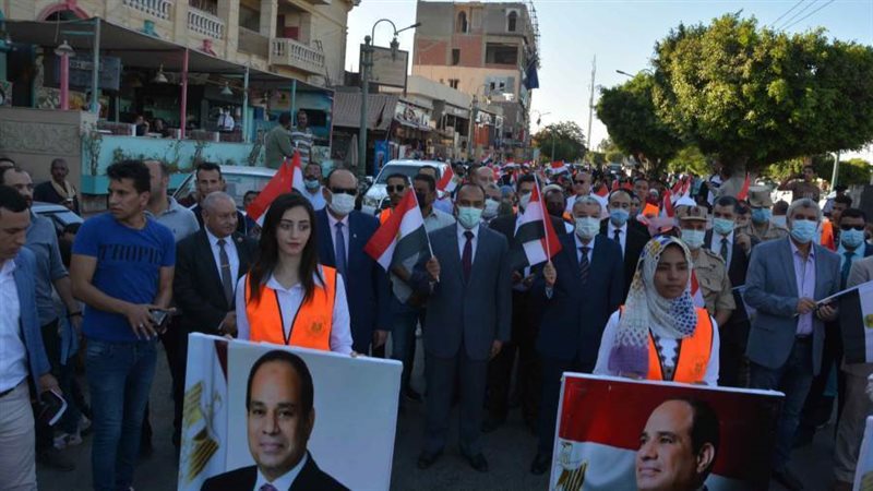 احتفالات المنيا بثورة