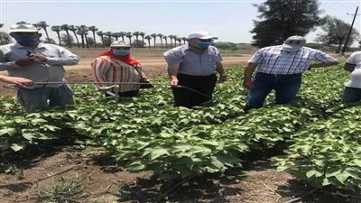 الري تعلن الانتهاء من 94٪ من مشروع التحول للري الحديث