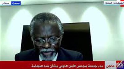 عاجل/ بدء جلسة مجلس الأمن الدولي بشأن سد النهضة 