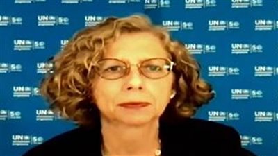 عاجل| المديرة التنفيذية لمجلس الأمن: النيل مورد حيوي لمصر وإثيوبيا والسودان والتعاون على إدارته هو الحل