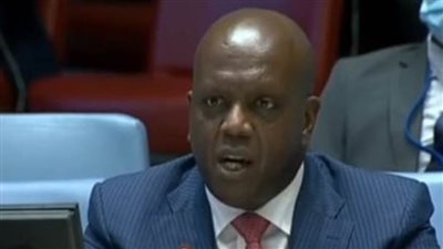 مندوب كينيا بمجلس الأمن: نعترف بالمشاغل المشروعة لمصر والسودان بشأن سد النهضة