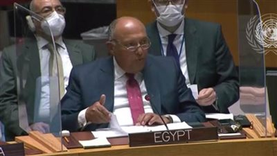 عاجل/ شكري لمجلس الأمن: مصر تواجه تهديدًا وجوديًا وسلوك إثيوبيا متعجرف وفج 