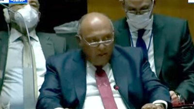 شكري لمجلس الأمن: سلوك إثيوبيا فج يجسد سوء النية وجنوح لفرض أمر واقع وتحدٍ للمجتمع الدولي