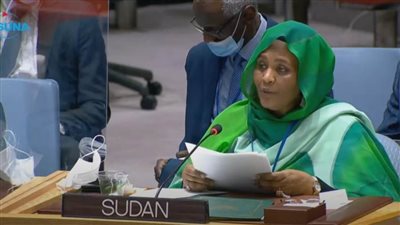 عاجل| وزيرة الخارجية السودانية: موقفنا ينسجم مع مصر بشأن سد النهضة وإثيوبيا  تكذب 