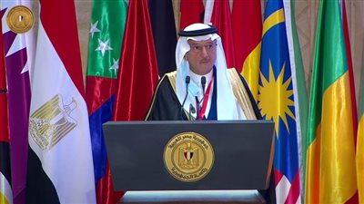 العثيمين : المرأة المصرية في عهد السيسي استطاعت الحصول على كثير من الخطوات الإيجابية