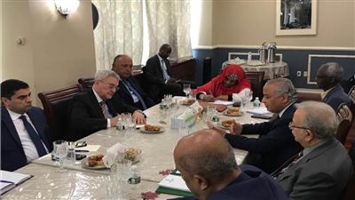 شكرى يلتقى مجددا بنظيرته السودانية واللجنة العربية المعنية بمتابعة تطورات ملف ⁧‫سد النهضة‬⁩