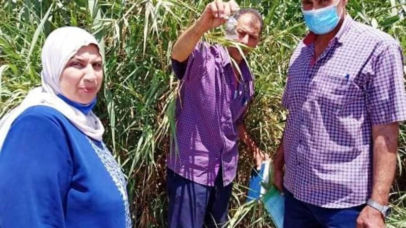 أعمال مكافحة الافات