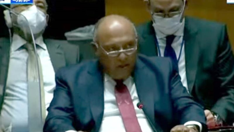 سامح شكري وزير الخارجية