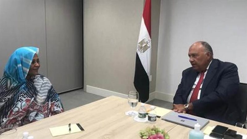 سامح شكري وزير الخارجية