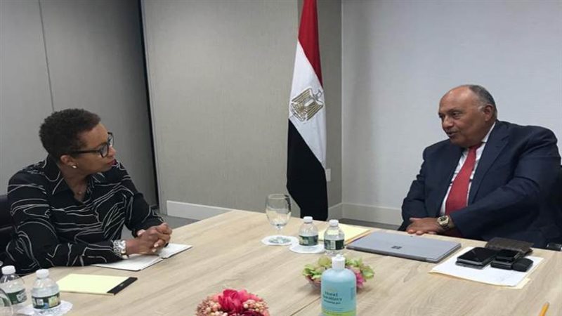 شكري يلتقي بالمندوبة