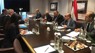 شكري يبحث مع وزير خارجية مالطا ظاهرتي الإرهاب والهجرة غير المشروعة